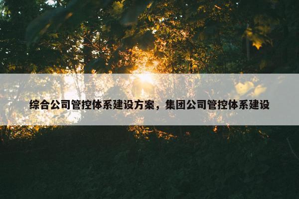 综合公司管控体系建设方案，集团公司管控体系建设