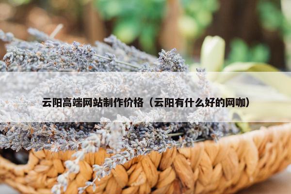 云阳高端网站制作价格（云阳有什么好的网咖）