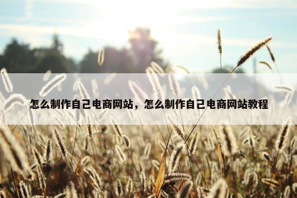 怎么制作自己电商网站，怎么制作自己电商网站教程