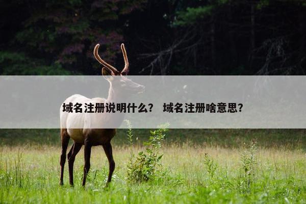 域名注册说明什么？ 域名注册啥意思？