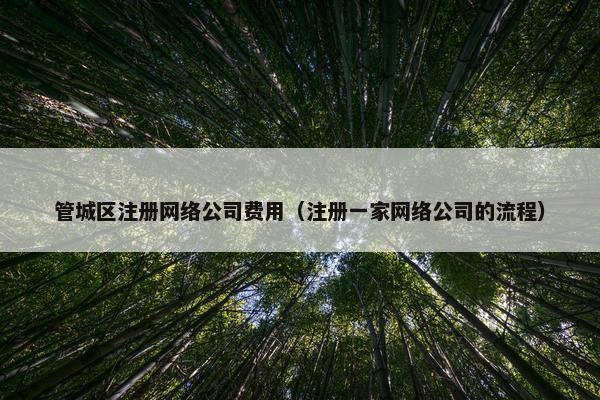管城区注册网络公司费用（注册一家网络公司的流程）