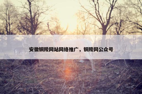 安徽铜陵网站网络推广，铜陵网公众号