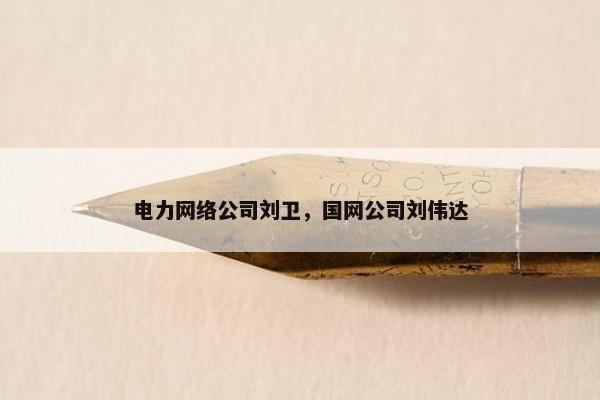 电力网络公司刘卫，国网公司刘伟达
