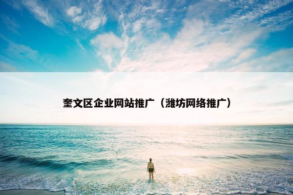 奎文区企业网站推广（潍坊网络推广）