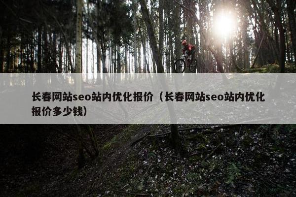 长春网站seo站内优化报价（长春网站seo站内优化报价多少钱）
