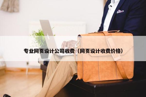 专业网页设计公司收费（网页设计收费价格）