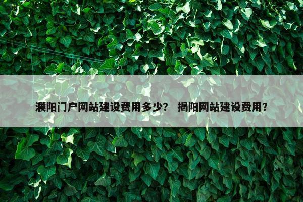 濮阳门户网站建设费用多少？ 揭阳网站建设费用？