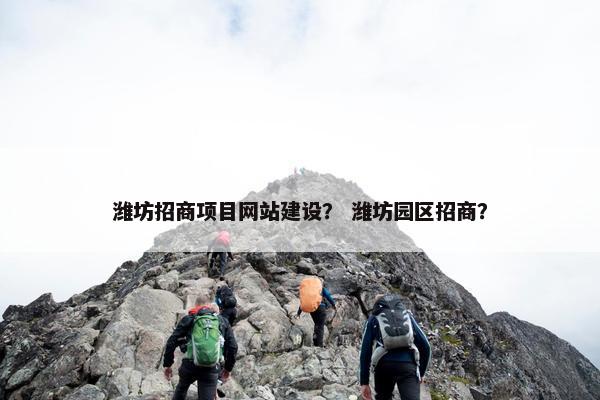 潍坊招商项目网站建设？ 潍坊园区招商？