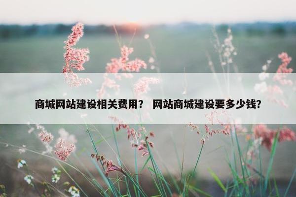 商城网站建设相关费用？ 网站商城建设要多少钱？