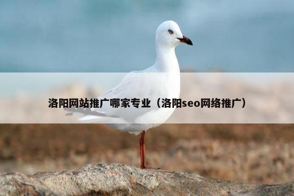 洛阳网站推广哪家专业（洛阳seo网络推广）