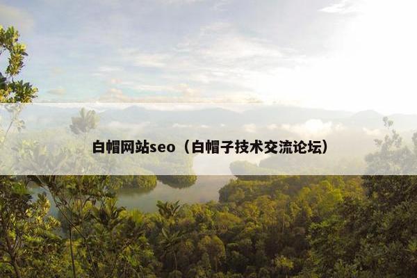 白帽网站seo（白帽子技术交流论坛）