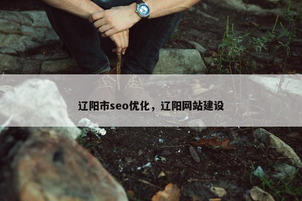 辽阳市seo优化，辽阳网站建设