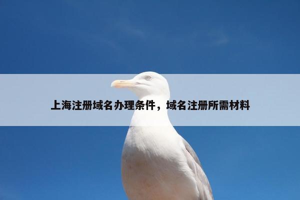 上海注册域名办理条件，域名注册所需材料