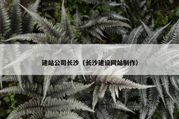 建站公司长沙（长沙建设网站制作）