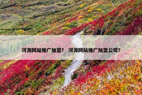 河源网站推广加盟？ 河源网站推广加盟公司？