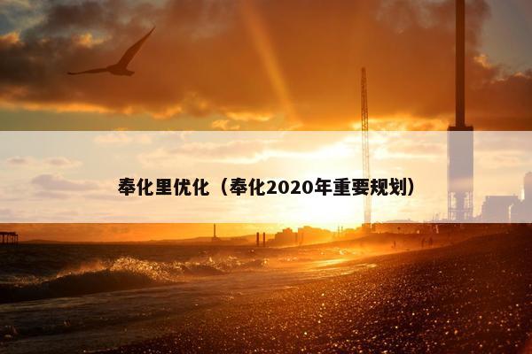 奉化里优化（奉化2020年重要规划）