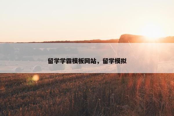 留学学霸模板网站，留学模拟