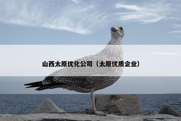 山西太原优化公司（太原优质企业）