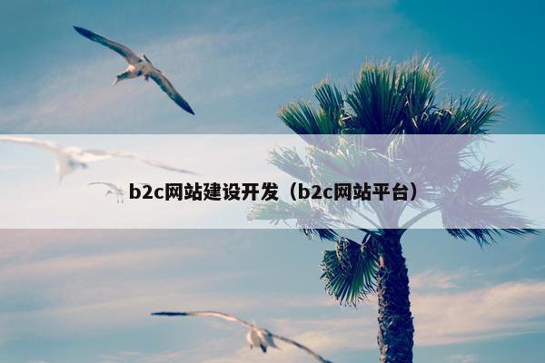 b2c网站建设开发（b2c网站平台）