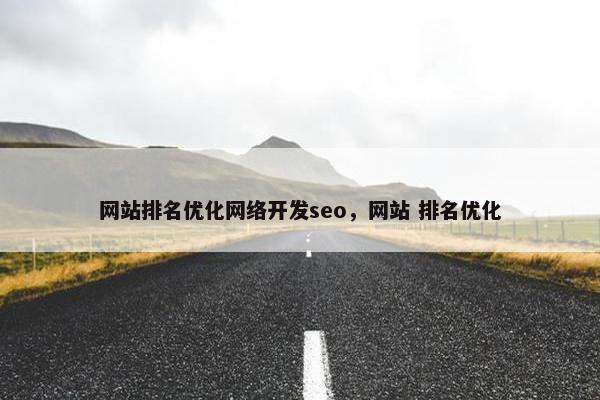 网站排名优化网络开发seo，网站 排名优化