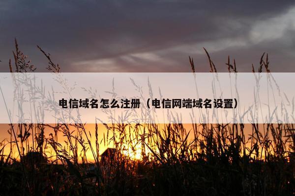 电信域名怎么注册（电信网端域名设置）