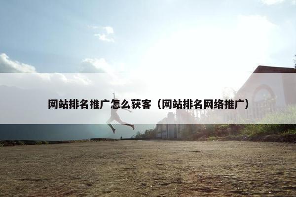 网站排名推广怎么获客（网站排名网络推广）