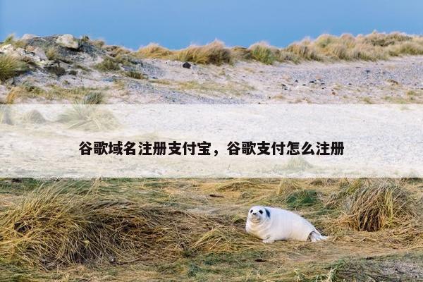 谷歌域名注册支付宝，谷歌支付怎么注册