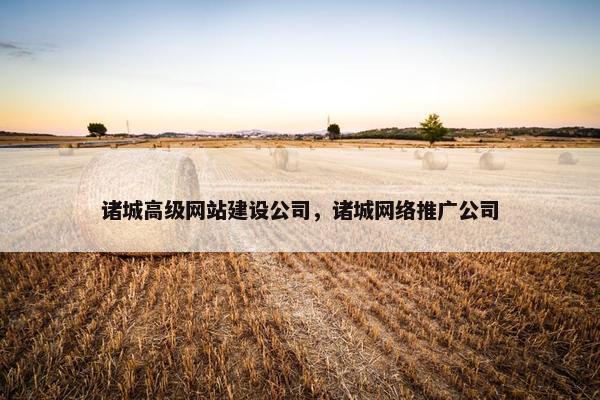 诸城高级网站建设公司，诸城网络推广公司