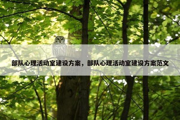 部队心理活动室建设方案，部队心理活动室建设方案范文