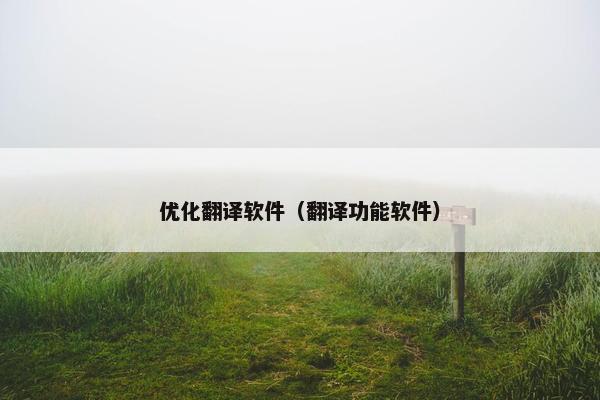 优化翻译软件（翻译功能软件）