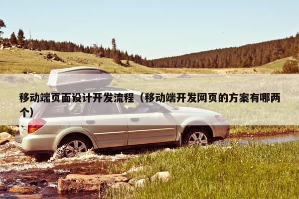 移动端页面设计开发流程（移动端开发网页的方案有哪两个）