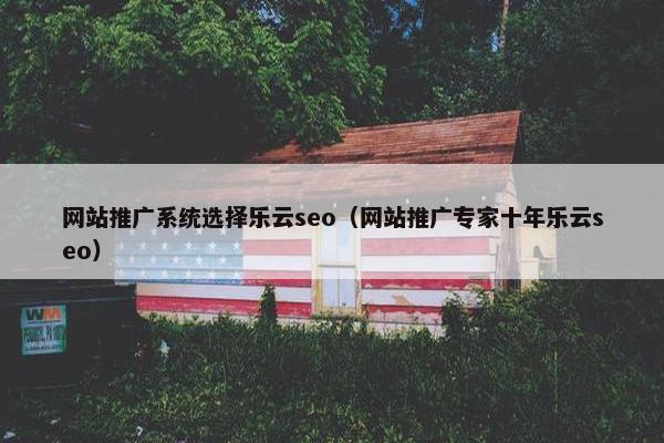 网站推广系统选择乐云seo（网站推广专家十年乐云seo）