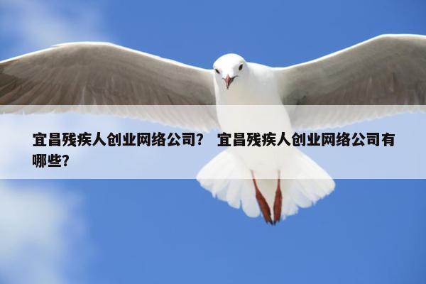 宜昌残疾人创业网络公司？ 宜昌残疾人创业网络公司有哪些？