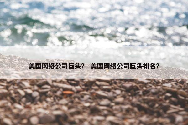 美国网络公司巨头？ 美国网络公司巨头排名？