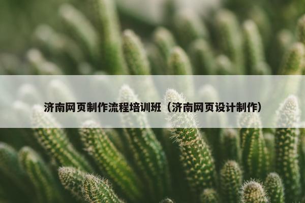济南网页制作流程培训班（济南网页设计制作）