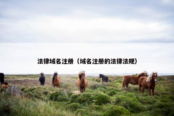 法律域名注册（域名注册的法律法规）