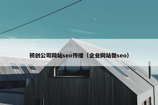 初创公司网站seo传播（企业网站做seo）