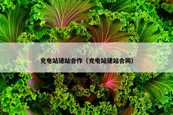 充电站建站合作（充电站建站合同）