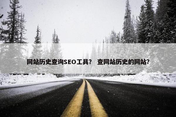 网站历史查询SEO工具？ 查网站历史的网站？