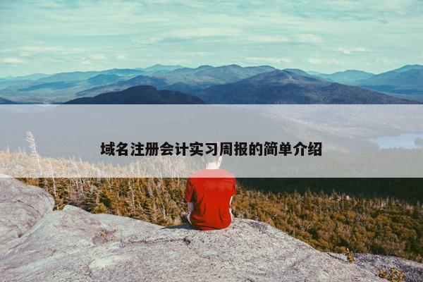 域名注册会计实习周报的简单介绍
