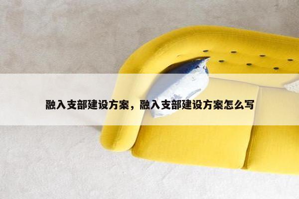 融入支部建设方案，融入支部建设方案怎么写