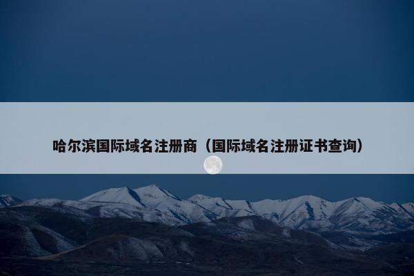 哈尔滨国际域名注册商（国际域名注册证书查询）