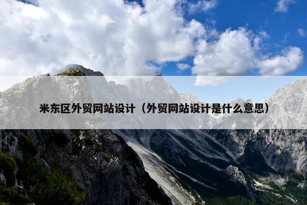 米东区外贸网站设计（外贸网站设计是什么意思）