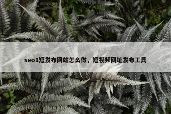 seo1短发布网站怎么做，短视频网址发布工具
