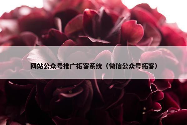 网站公众号推广拓客系统（微信公众号拓客）