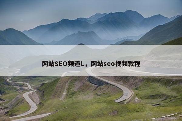 网站SEO频道L，网站seo视频教程