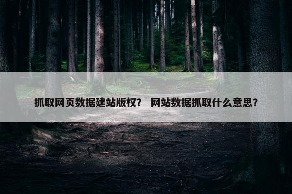 抓取网页数据建站版权？ 网站数据抓取什么意思？