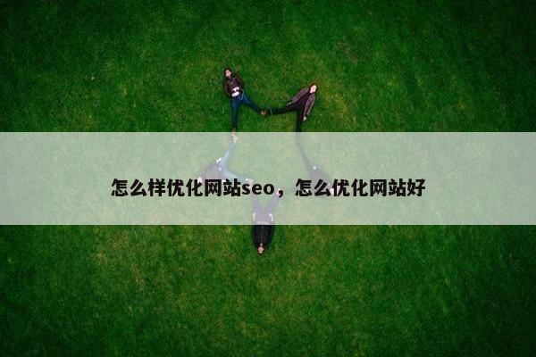 怎么样优化网站seo，怎么优化网站好