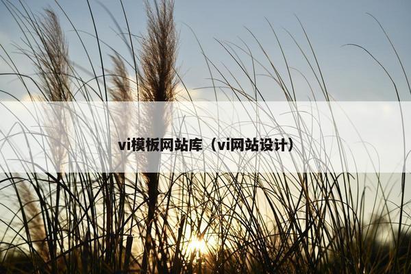 vi模板网站库（vi网站设计）