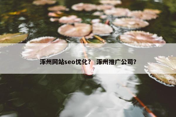 涿州网站seo优化？ 涿州推广公司？